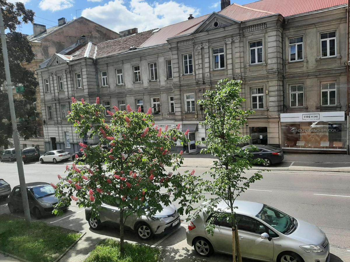 Centrally Located Cosy Studio Vilnius Exteriör bild